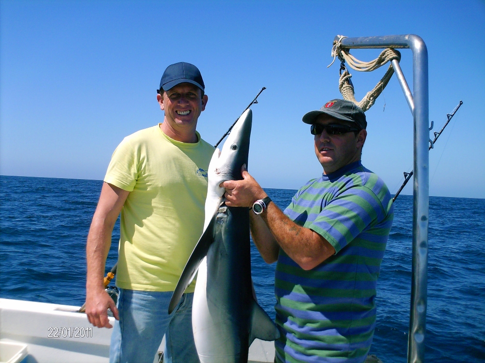 SHARK FISHING - Marlin Fishing Algarve